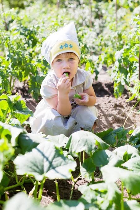 Baby 🍼 Farmer